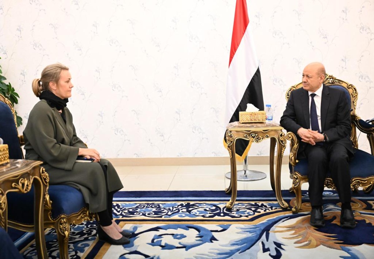 Al-Alimi calls for more European pressure to force the Houthis to peace