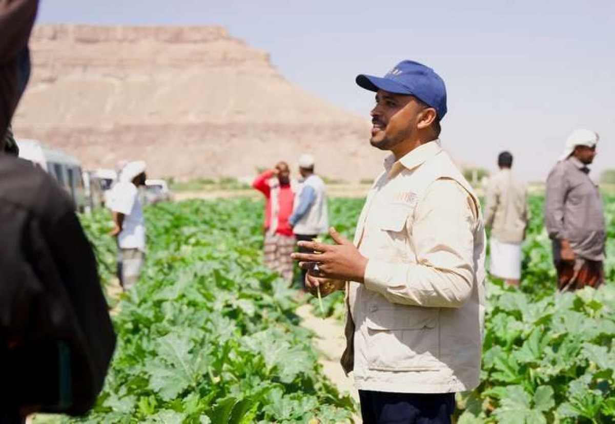 The United Nations Development Program confirms support for agriculture in Yemen