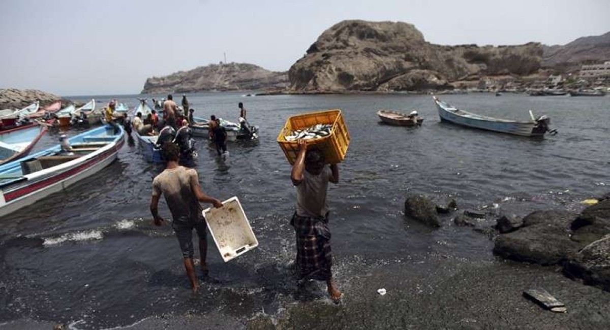 Yemeni fishermen complain about the lack of fish during the fishing season