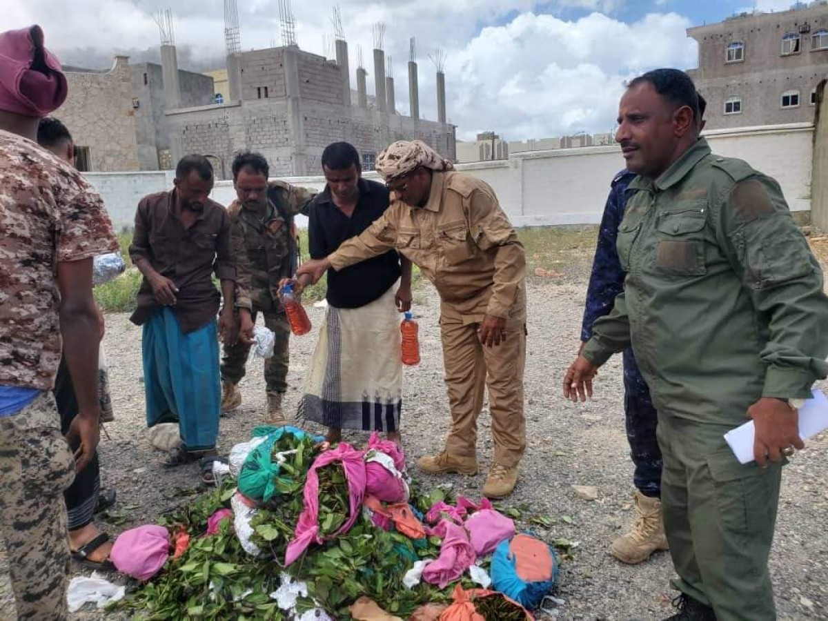 محافظ سقطرى يشيد بجهود الأجهزة الأمنية في ضبط كمية كبيرة من القات وإتلافها