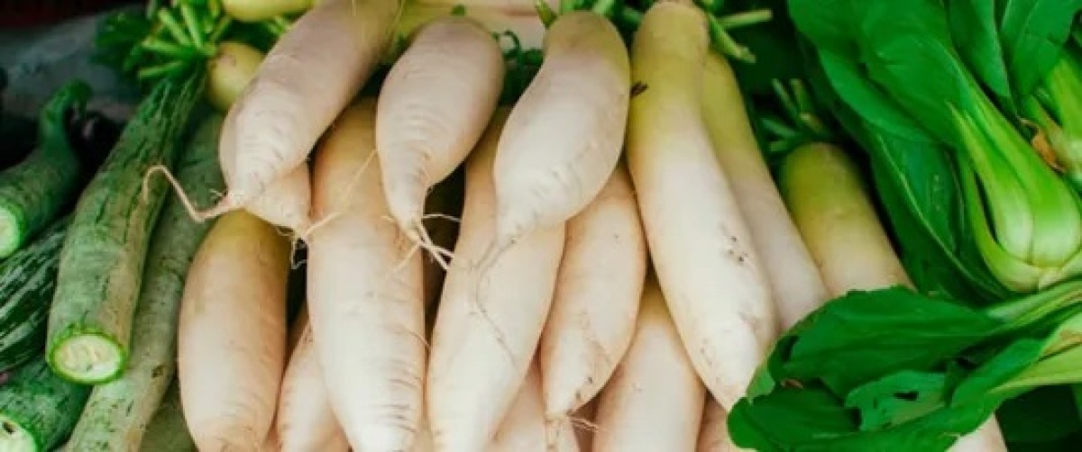 The benefits of radish leaves on human health