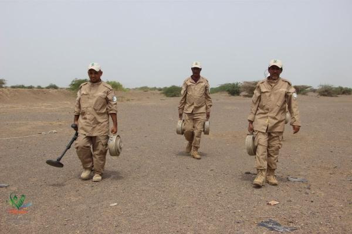 Within a week... 746 mines were removed from Yemen