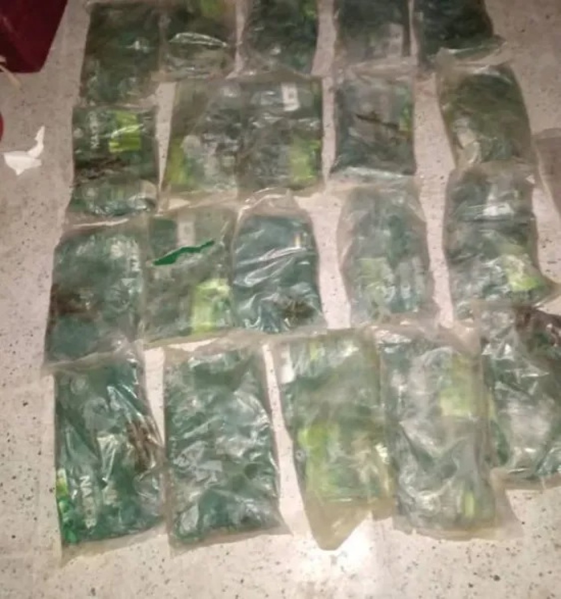 The security belt thwarts the smuggling of 20 kilograms of hashish in Modiya