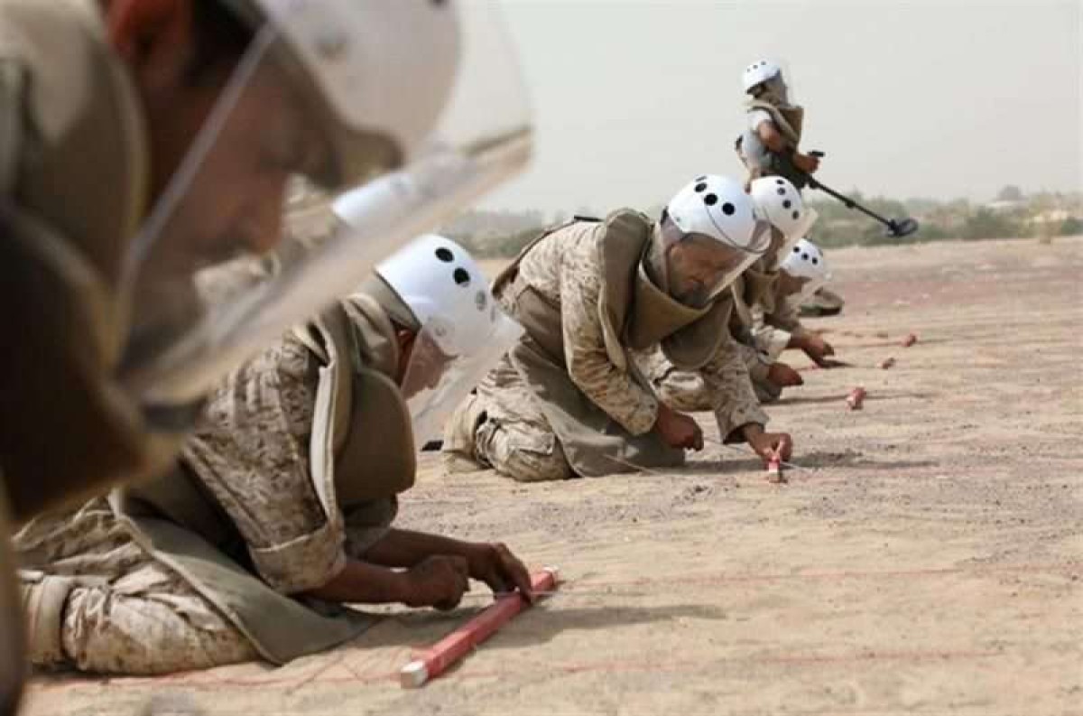 730 mines were removed in Yemen within a week