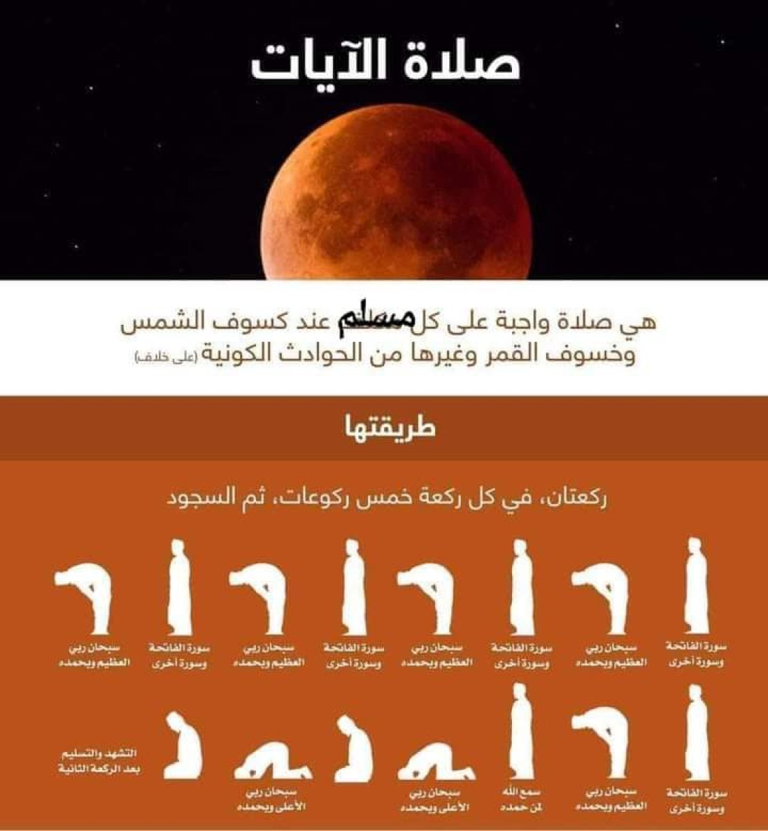 عدن تشهد خسوفًا للقمر وسط أجواء روحانية