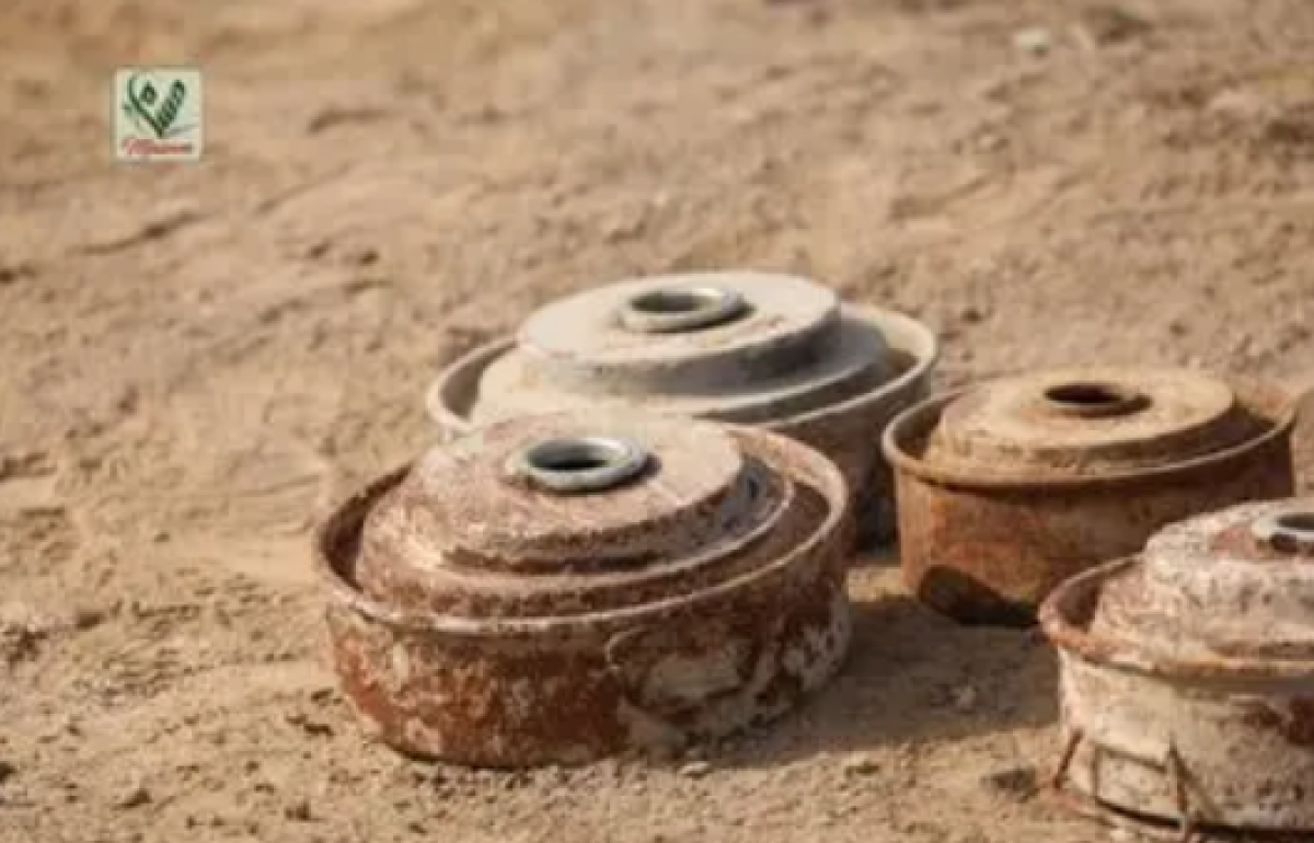 Masam secures 35 minefields in Al Dhalea