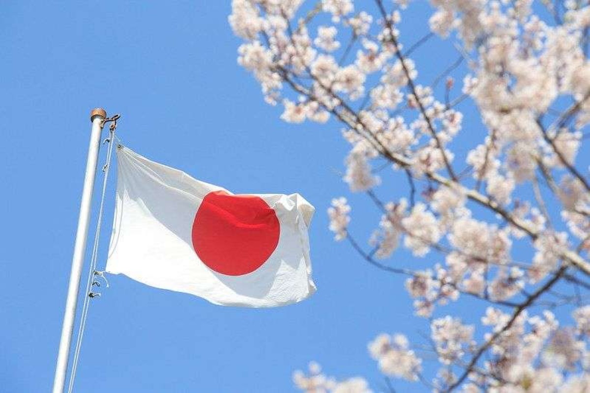 Japan provides $3 million to encourage the peace process in Yemen