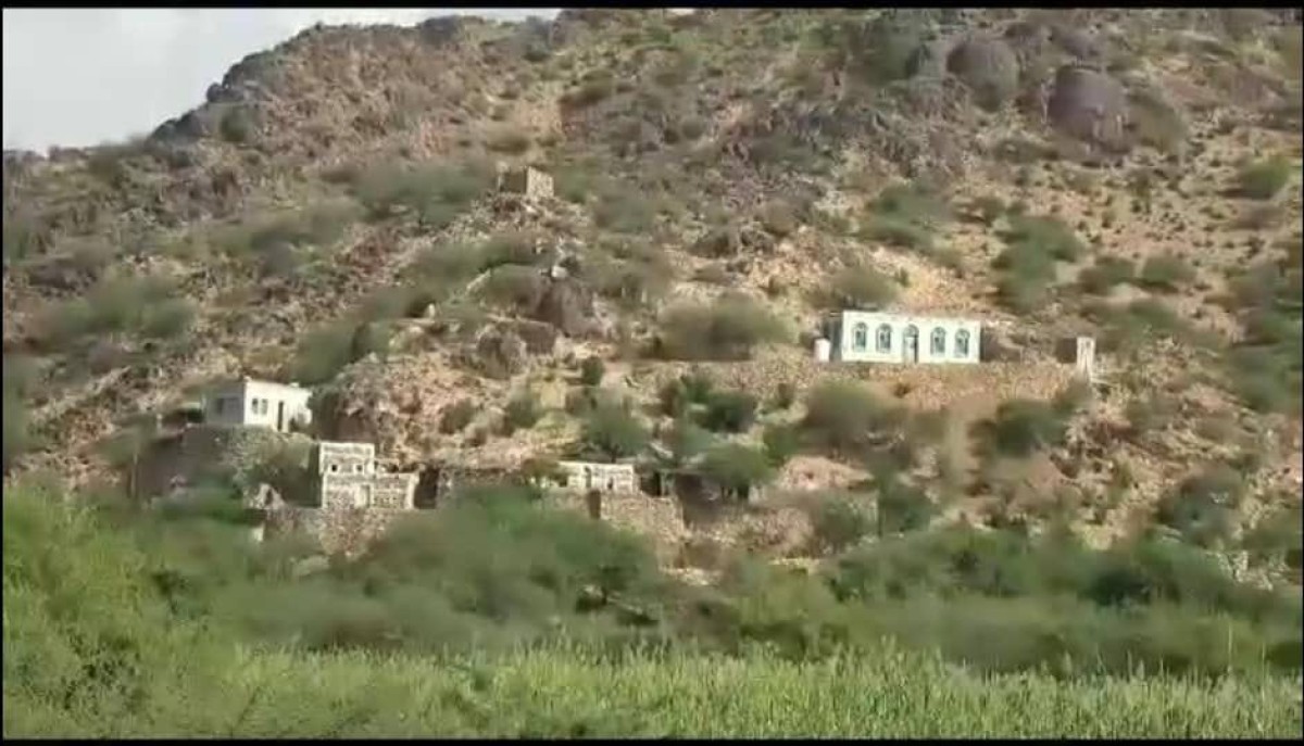 Houthi militias launch artillery shelling on residential villages in a suburb on the western coast