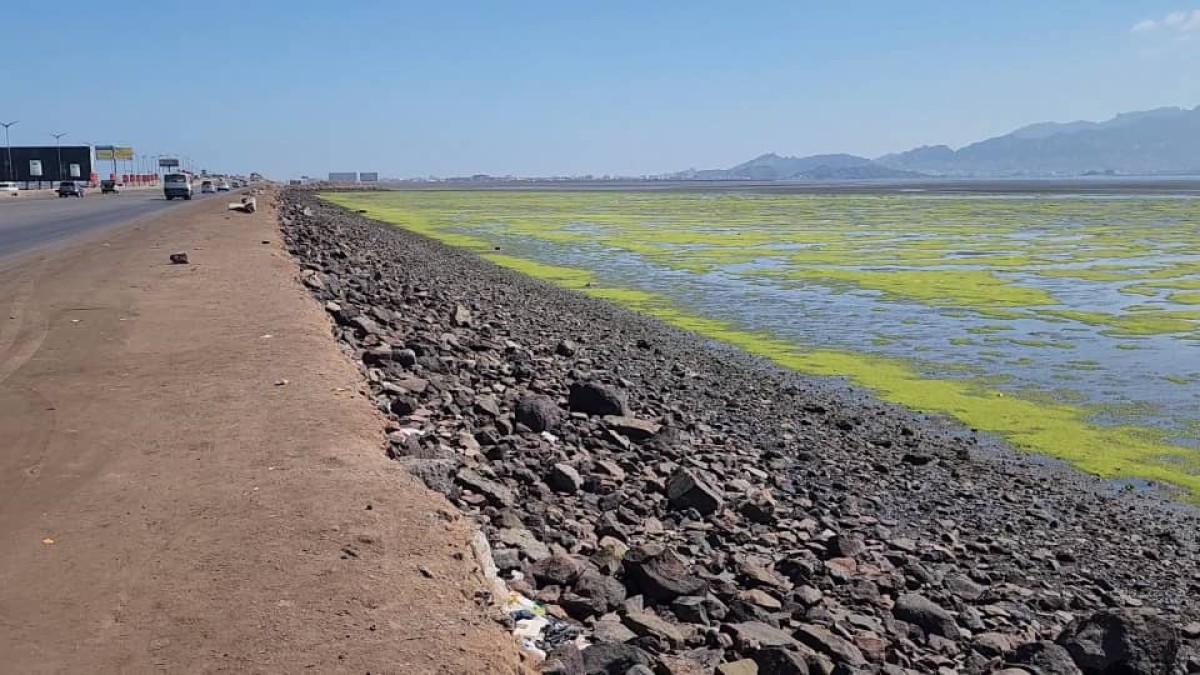 The appearance of algae and waste in the salt ponds of the Pelican Reserve heralds an environmental disaster