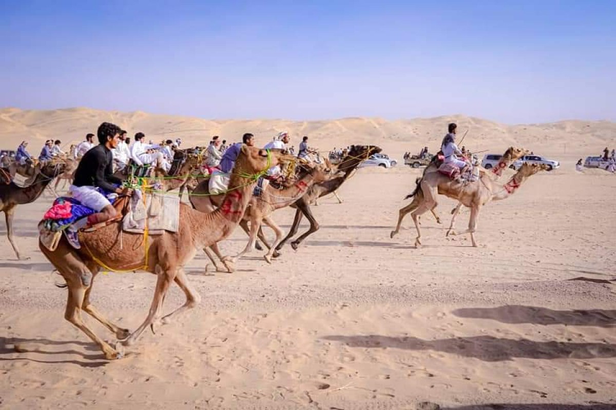 شبوة.. ختام كرنفالي لمهرجان عسقلان التاسع للتراث والموروث الشعبي