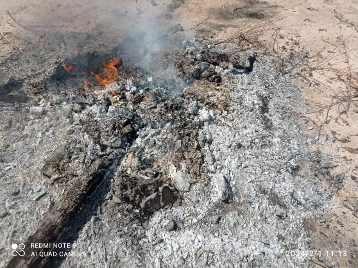 Hadhramout...destroying a quantity of narcotic hashish in the city of Sayun