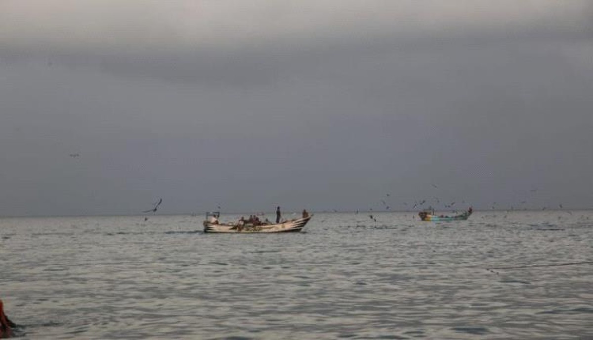 Tihama fishermen between the hammer of the Houthi militia and the anvil of the international coalition