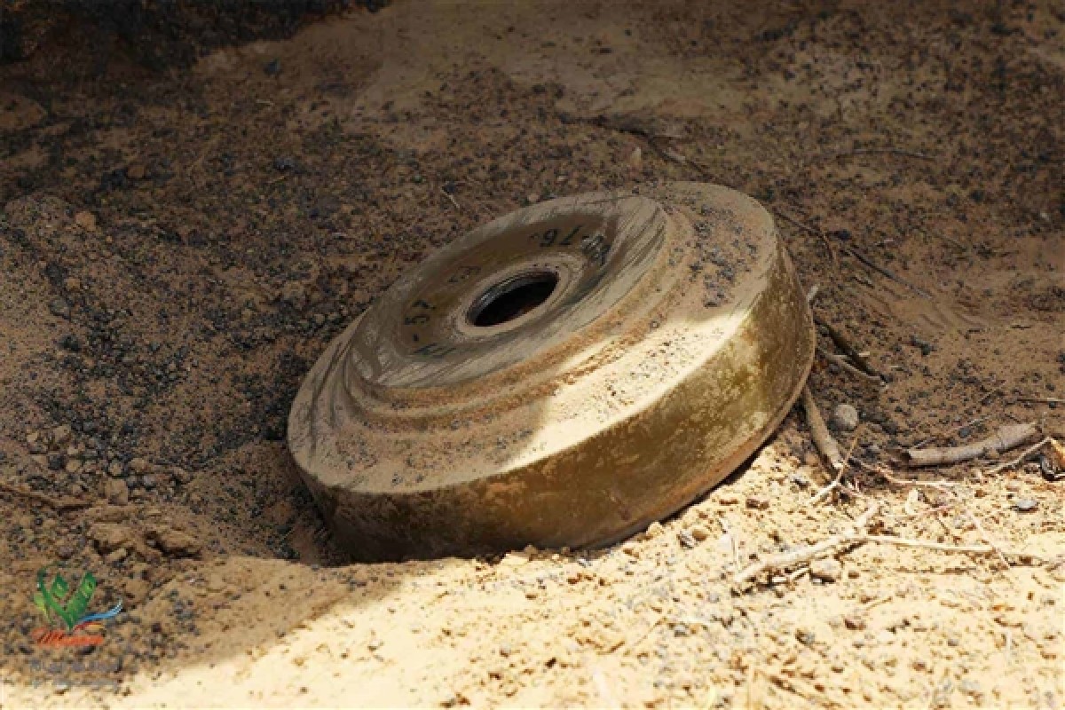 727 Houthi mines were dismantled within one week