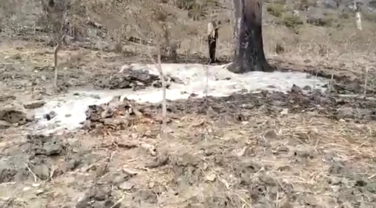 Socotra.. A fire devours the two brothers' blood trees in the Farmahin Reserve