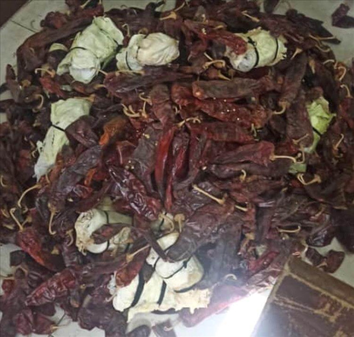 Aden airport authorities thwart the smuggling of a large quantity of khat plant