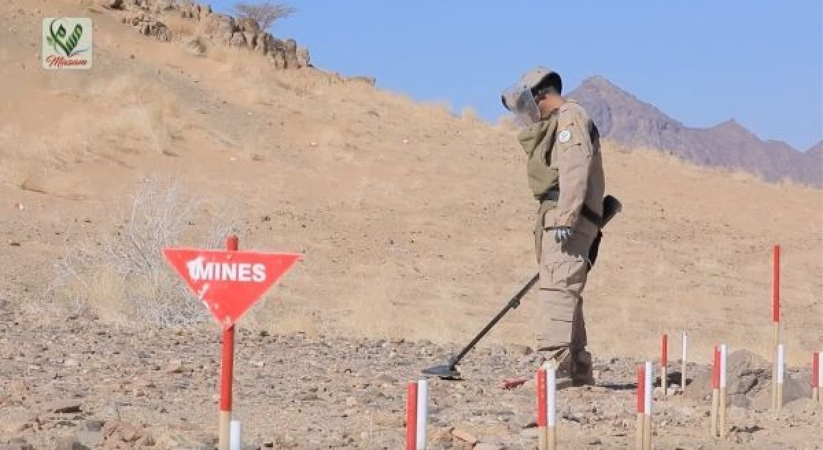 Masam announces the destruction of 659 mines, explosive devices and shells in Bab al-Mandab