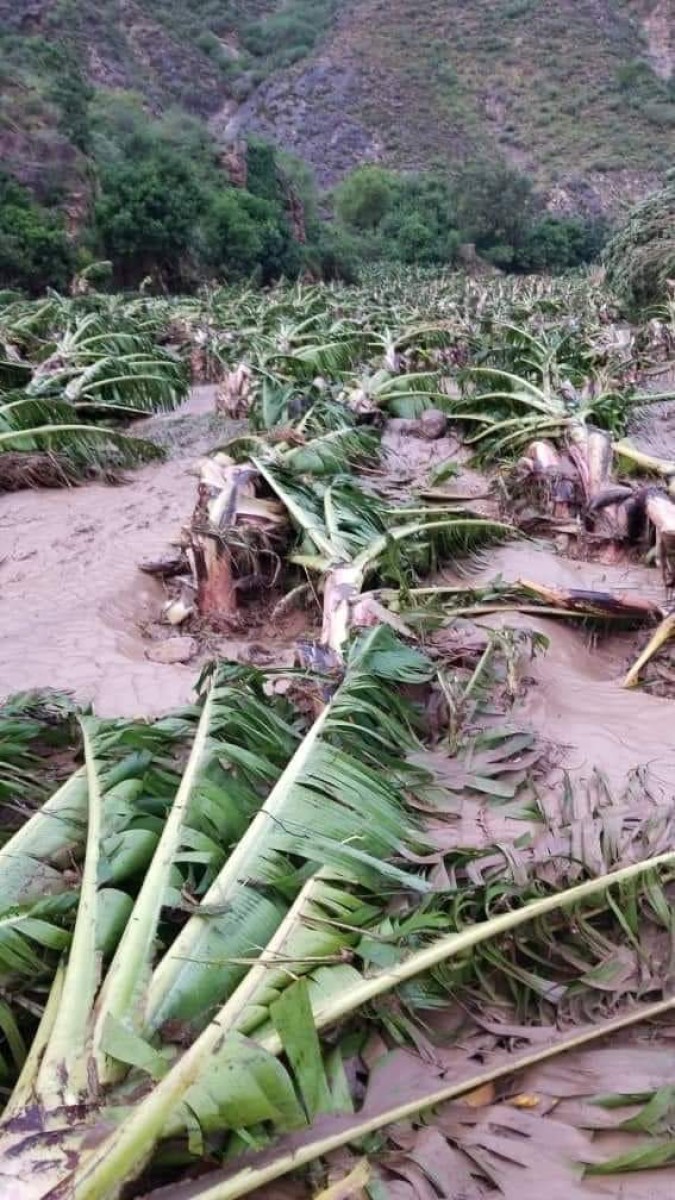 As a result of the floods, the Houthi militia announced the death of 86 people and the damage of 33,000 families