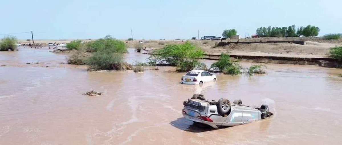 FAO report: Floods damaged 100,000 hectares of agricultural land in Yemen