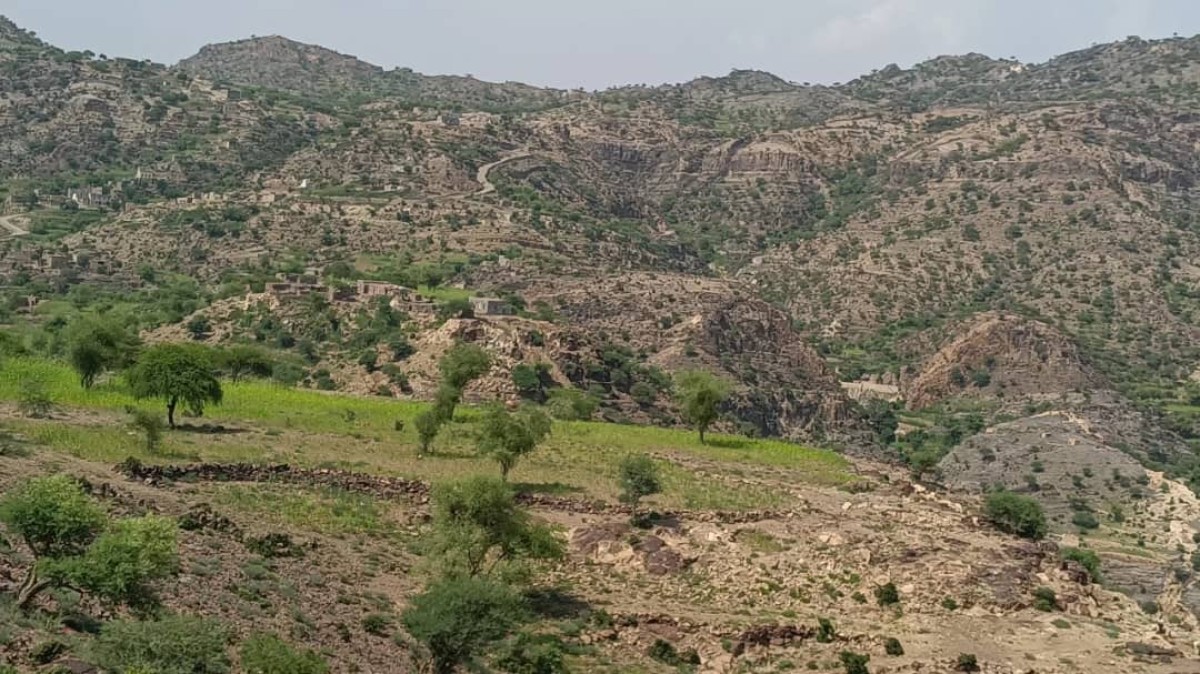 لحج.. القوات الجنوبية تتصدى لهجوم حوثي في المسيمير وتكبد المليشيات خسائر فادحة