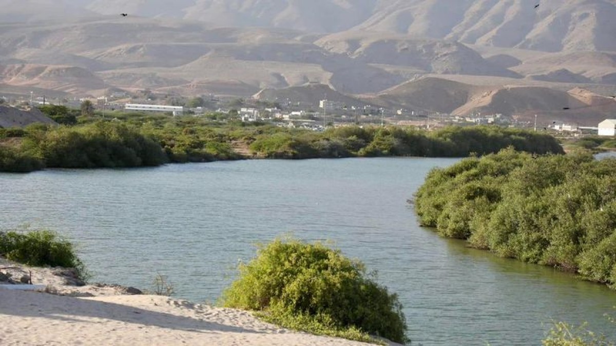 Khor Ambikha...a living museum of ecosystems in Hadramaut