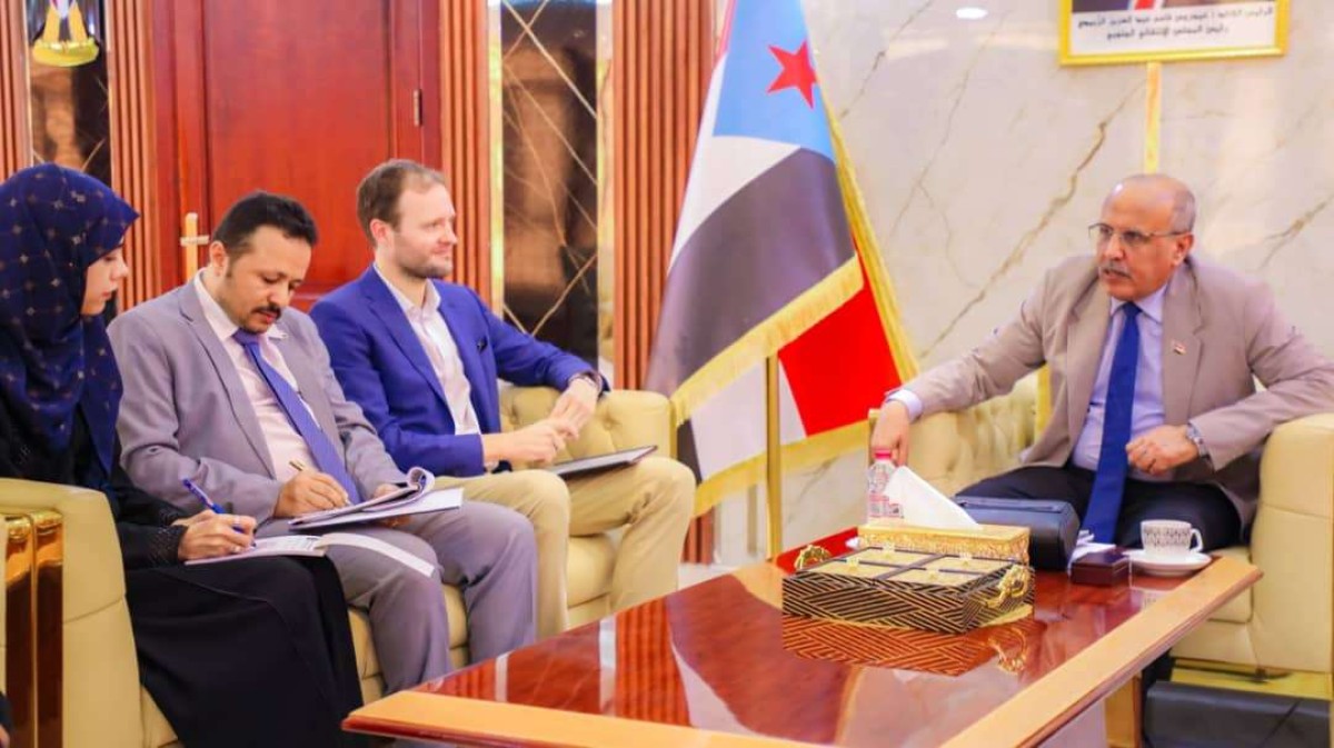 The Acting President of the Transitional Council receives a European delegation