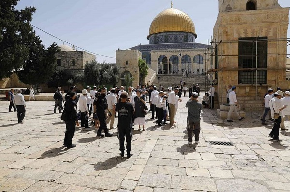 Extremist settlers storm Al-Aqsa courtyards