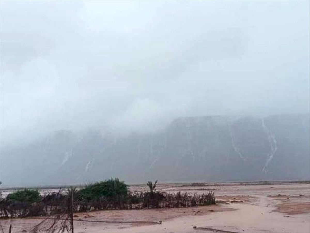 Meteorology: Rain accompanied by thunderstorms is expected in several governorates