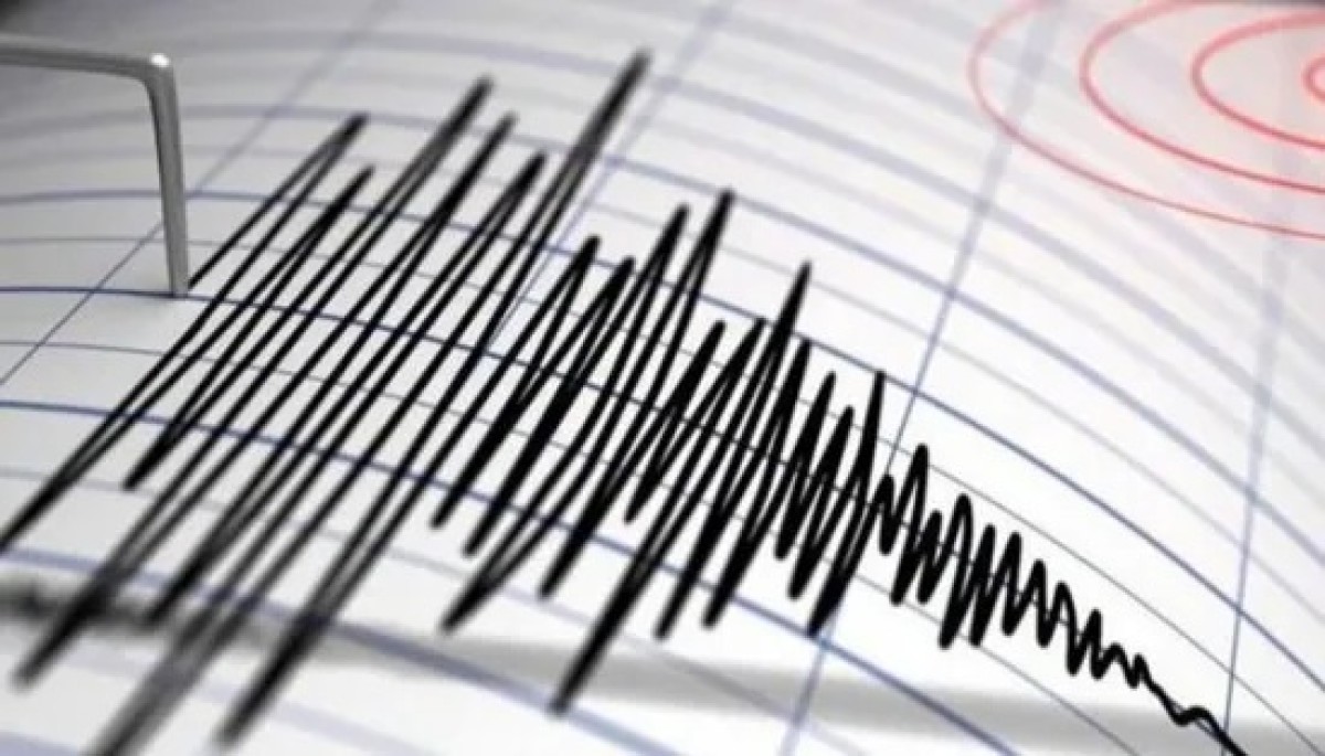 A 4.5 magnitude earthquake hits Chile