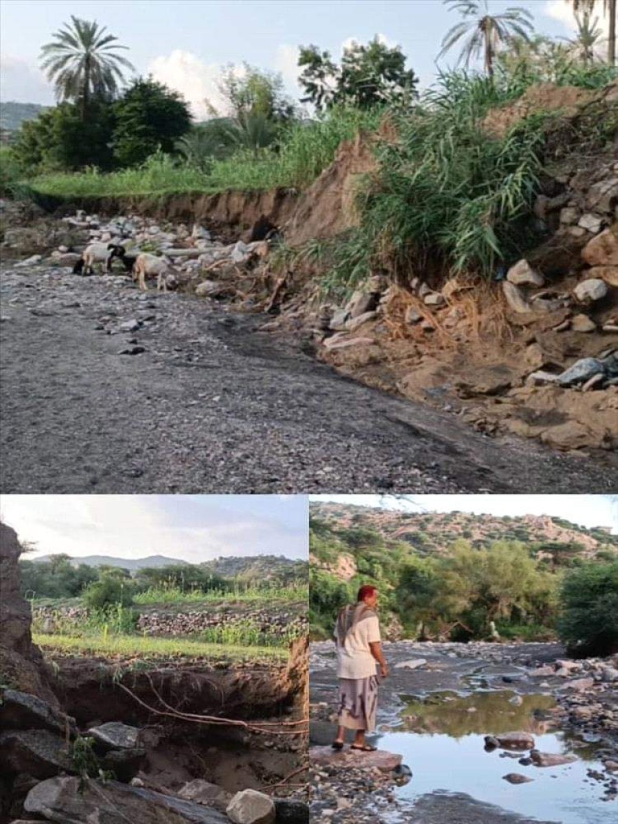 Serious damage to the agricultural sector in Lahj due to the flow of torrents