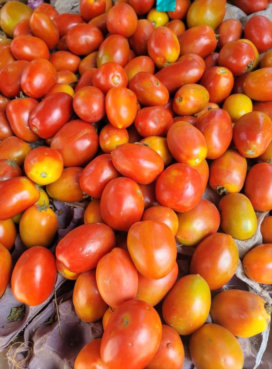 Jordanian tomatoes invade the markets of the capital, Aden