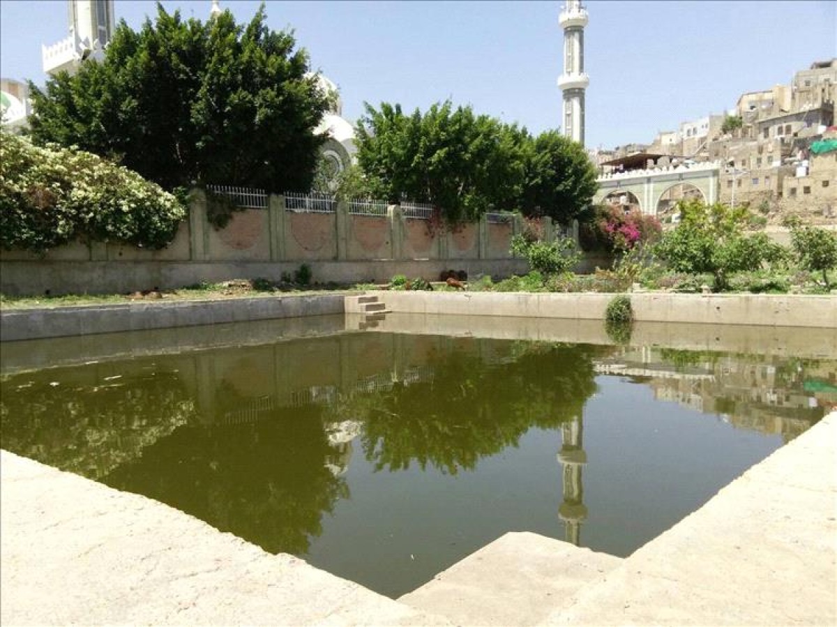 5 girls died after falling into a sewage pond in Taiz