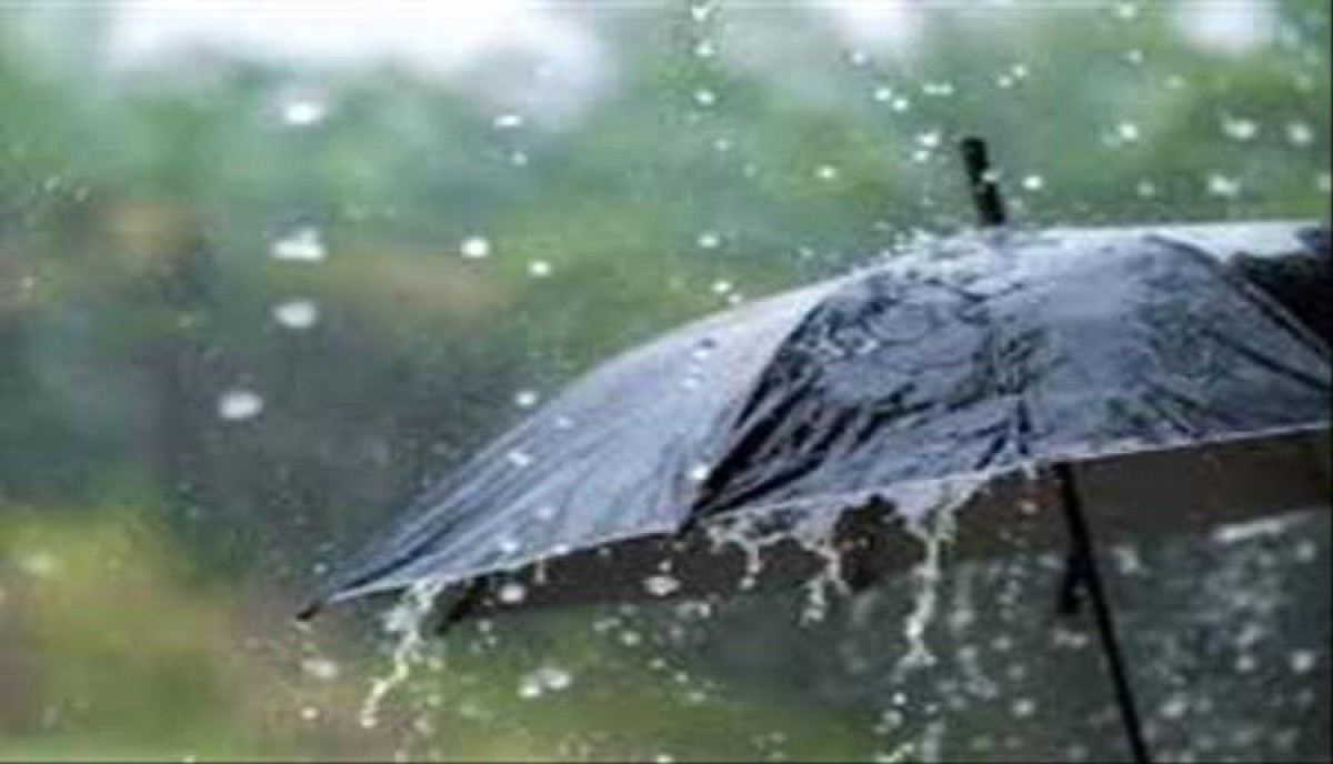 Meteorology: Thunderstorms and heavy rain during the next 24 hours