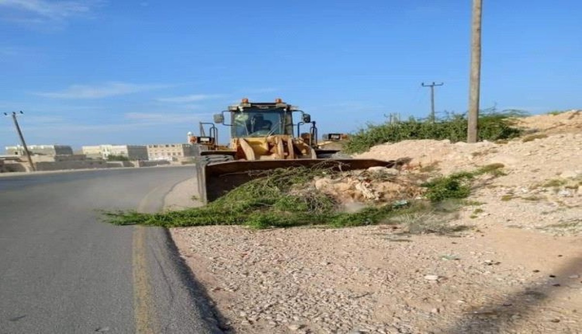 A campaign to remove trees obstructing traffic in the capital of Mahra