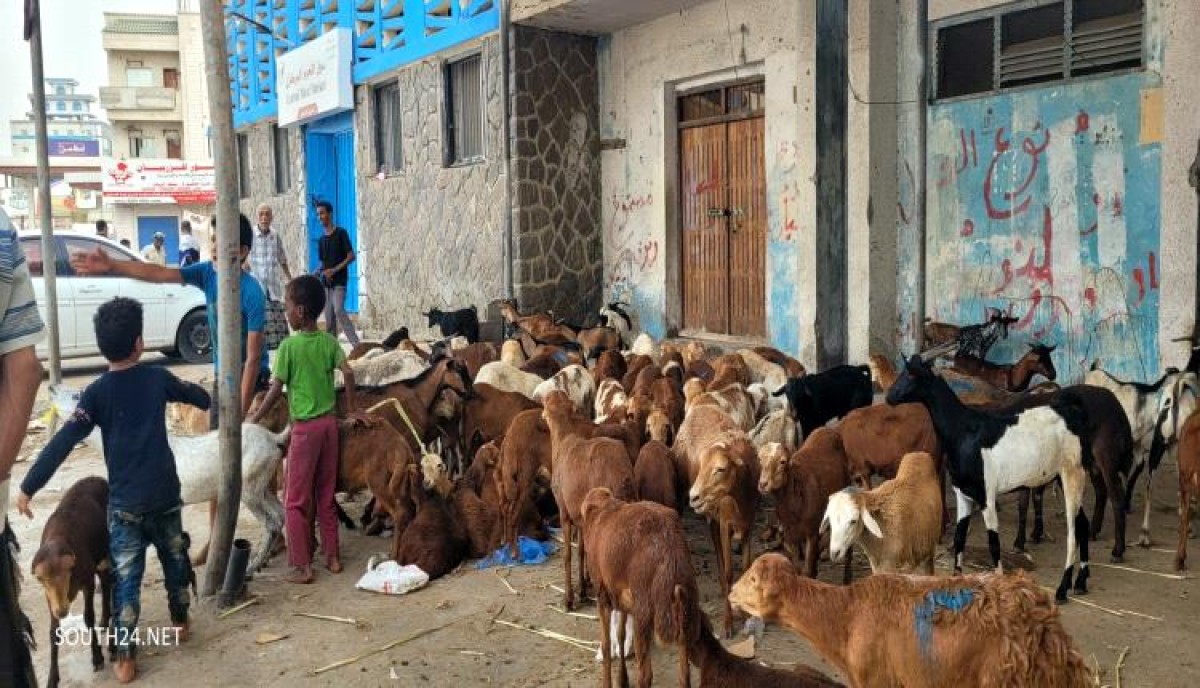 Most of the people of Aden stopped buying the sacrifices of the feast due to the high cost of living