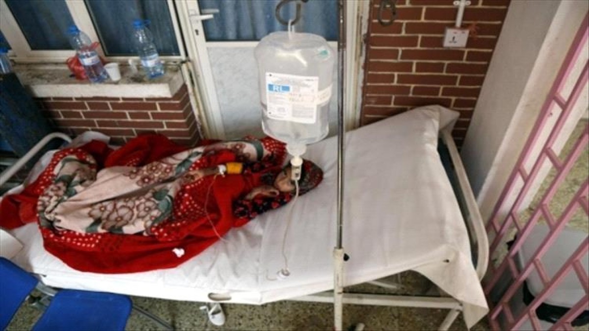 The death of 14 cases and the injury of 4 thousand with dengue fever in Aden and Lahj