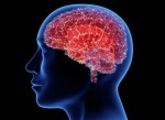 أفضل 5 أطعمة أرجوانية تعزز صحة الدماغ