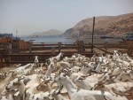 ميناء المكلا يستقبل عشرات السفن الخشبية المحملة بالأغنام القادمة من الصومال