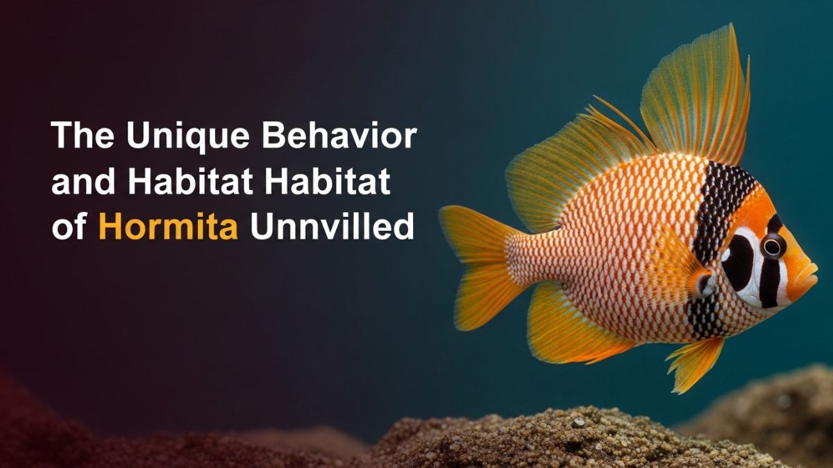 The Unique Behavior and Habitat of hormita Unveiled