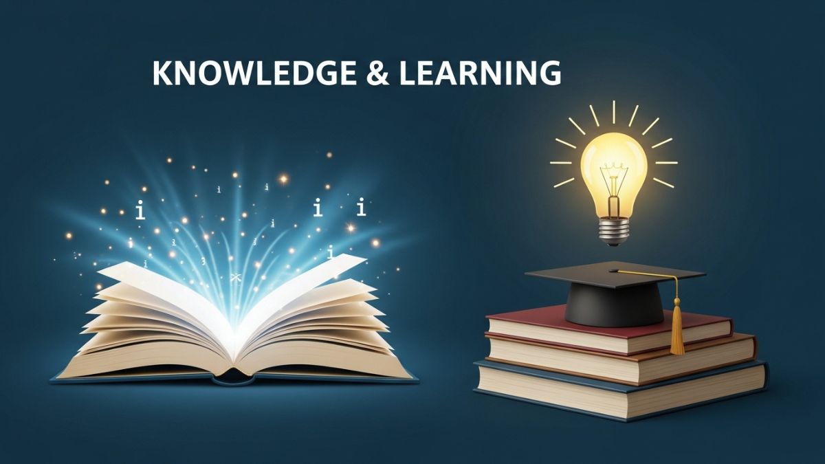 Exploring the World of nidixfun: A Comprehensive Guide